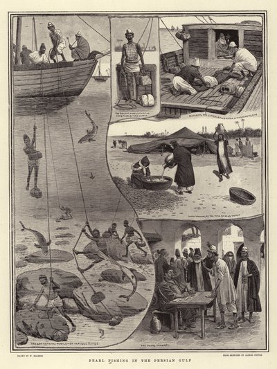 Pearl Fishing in the Persian Gulf by William Ralston